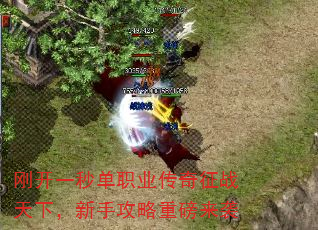 刚开一秒单职业传奇征战天下,新手攻略重磅来袭 刚开一秒单职业传奇征战天下,新手攻略重磅来袭
