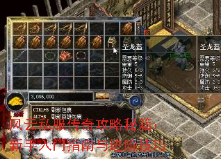 风云私服传奇攻略秘籍:新手入门指南与进阶技巧 风云私服传奇攻略秘籍:新手入门指南与进阶技巧