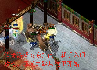 传奇游戏专家指南：新手入门攻略，屠龙之路从这里开始