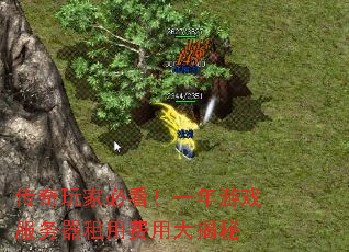传奇玩家必看!一年游戏服务器租用费用大揭秘 传奇玩家必看!一年游戏服务器租用费用大揭秘