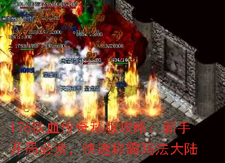 176铁血传奇私服攻略:新手开局必读,快速称霸玛法大陆 176铁血传奇私服攻略:新手开局必读,快速称霸玛法大陆