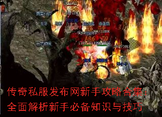 传奇私服发布网新手攻略合集:全面解析新手必备知识与技巧 传奇私服发布网新手攻略合集:全面解析新手必备知识与技巧