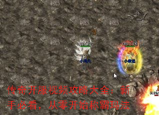 传奇开服视频攻略大全:新手必看,从零开始称霸玛法 传奇开服视频攻略大全:新手必看,从零开始称霸玛法