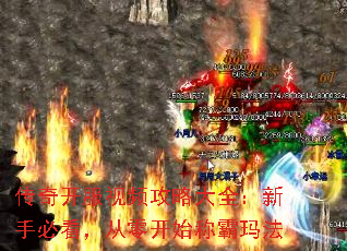 传奇开服视频攻略大全:新手必看,从零开始称霸玛法 传奇开服视频攻略大全:新手必看,从零开始称霸玛法