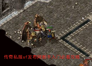 传奇私服sf发布网新手入门必看攻略 传奇私服sf发布网新手入门必看攻略