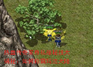 热血传奇至尊私服秘技大揭秘:如何称霸玛法大陆 热血传奇至尊私服秘技大揭秘:如何称霸玛法大陆
