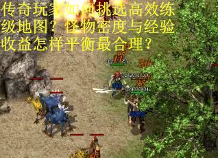 传奇玩家如何挑选高效练级地图?怪物密度与经验收益怎样平衡最合理? 传奇玩家如何挑选高效练级地图?怪物密度与经验收益怎样平衡最合理?