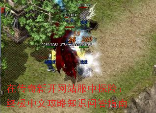 在传奇新开网站服中探险：终极中文攻略知识问答指南