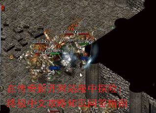 在传奇新开网站服中探险：终极中文攻略知识问答指南