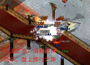 卧龙之怒:揭秘武林绝学,踏上修行之路 卧龙之怒:揭秘武林绝学,踏上修行之路