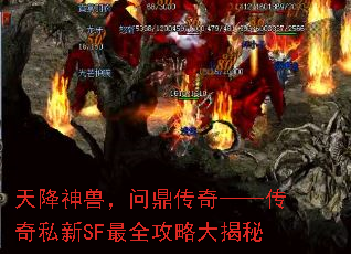 天降神兽,问鼎传奇——传奇私新SF最全攻略大揭秘 天降神兽,问鼎传奇——传奇私新SF最全攻略大揭秘