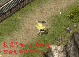权威传奇私服发布网整合新手攻略大全 权威传奇私服发布网整合新手攻略大全