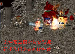 宠物蛋单职业传奇私服:新手入门必备攻略指南 宠物蛋单职业传奇私服:新手入门必备攻略指南