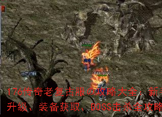 176传奇老复古服の攻略大全：新手升级、装备获取、BOSS击杀全攻略
