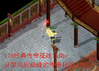 176经典传奇征战指南：从菜鸟到巅峰的传奇秘籍