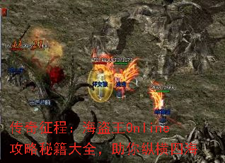 传奇征程:海盗王Online攻略秘籍大全,助你纵横四海 传奇征程:海盗王Online攻略秘籍大全,助你纵横四海