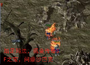 踏足玛法,掘金传奇SF之宝,问鼎沙巴克 踏足玛法,掘金传奇SF之宝,问鼎沙巴克