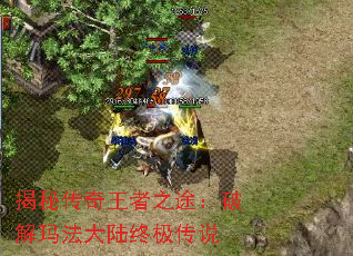 揭秘传奇王者之途:破解玛法大陆终极传说 揭秘传奇王者之途:破解玛法大陆终极传说