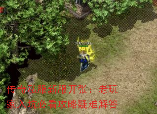 传奇私服新服开张：老玩家入坑必看攻略疑难解答
