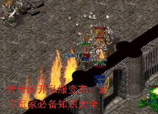 传奇新开私服变态：新手玩家必备知识大全