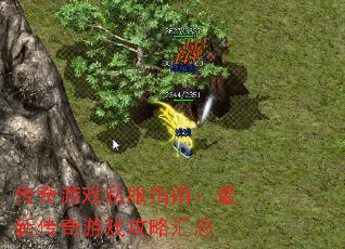 传奇游戏私服指南:最新传奇游戏攻略汇总 传奇游戏私服指南:最新传奇游戏攻略汇总