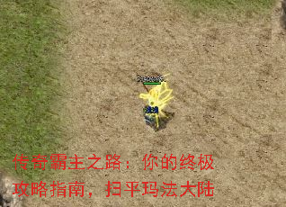 传奇霸主之路:你的终极攻略指南,扫平玛法大陆 传奇霸主之路:你的终极攻略指南,扫平玛法大陆
