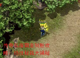 传奇私服霸业制胜攻略：绝技秘籍大揭秘
