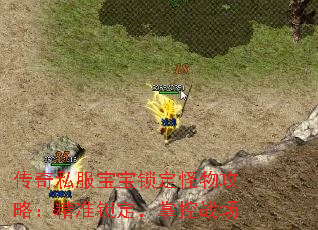 传奇私服宝宝锁定怪物攻略:精准锁定,掌控战场 传奇私服宝宝锁定怪物攻略:精准锁定,掌控战场