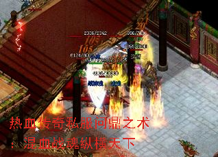 热血传奇私服问鼎之术:混血战魂纵横天下 热血传奇私服问鼎之术:混血战魂纵横天下