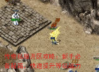 传奇私服开区攻略:新手必备秘籍,快速提升等级战力 传奇私服开区攻略:新手必备秘籍,快速提升等级战力