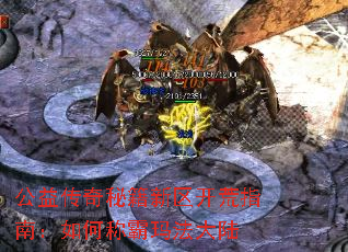 公益传奇秘籍新区开荒指南:如何称霸玛法大陆 公益传奇秘籍新区开荒指南:如何称霸玛法大陆