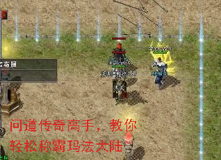 问道传奇高手,教你轻松称霸玛法大陆 问道传奇高手,教你轻松称霸玛法大陆