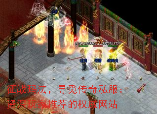 征战玛法,寻觅传奇私服:资深玩家推荐的权威网站 征战玛法,寻觅传奇私服:资深玩家推荐的权威网站