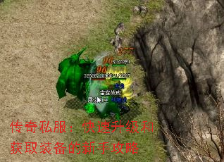 传奇私服:快速升级和获取装备的新手攻略 传奇私服:快速升级和获取装备的新手攻略
