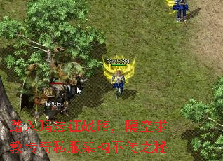 踏入玛法征战路，隔空求教传奇私服架构不传之秘
