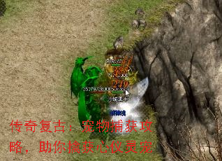 传奇复古:宠物捕获攻略,助你擒获心仪灵宠 传奇复古:宠物捕获攻略,助你擒获心仪灵宠