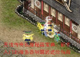 无忧传奇私服秘籍宝典:新手入门到服务器制霸的进阶指南 无忧传奇私服秘籍宝典:新手入门到服务器制霸的进阶指南