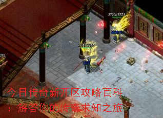 今日传奇新开区攻略百科：解答你的传奇求知之旅