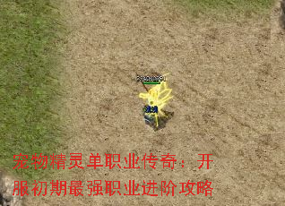 宠物精灵单职业传奇:开服初期最强职业进阶攻略 宠物精灵单职业传奇:开服初期最强职业进阶攻略