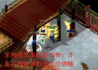 宠物精灵单职业传奇:开服初期最强职业进阶攻略 宠物精灵单职业传奇:开服初期最强职业进阶攻略