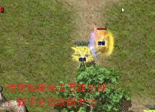 传奇私服合击万能外挂：新手必读攻略大全