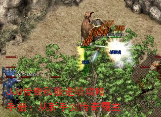 JJJ传奇私服进阶攻略手册：从新手到传奇霸主