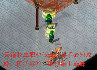 天道弦单职业传奇:新手必知攻略,困扰解答,助你踏上巅峰 天道弦单职业传奇:新手必知攻略,困扰解答,助你踏上巅峰
