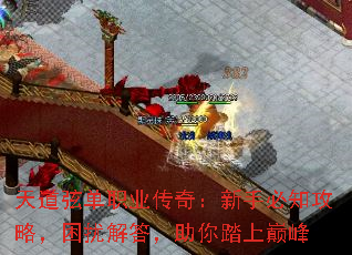 天道弦单职业传奇:新手必知攻略,困扰解答,助你踏上巅峰 天道弦单职业传奇:新手必知攻略,困扰解答,助你踏上巅峰