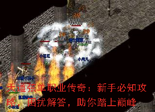 天道弦单职业传奇:新手必知攻略,困扰解答,助你踏上巅峰 天道弦单职业传奇:新手必知攻略,困扰解答,助你踏上巅峰