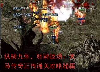 纵横九州,驰骋战场:天马传奇正传通关攻略秘籍 纵横九州,驰骋战场:天马传奇正传通关攻略秘籍