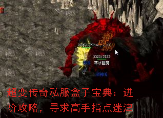 超变传奇私服盒子宝典：进阶攻略，寻求高手指点迷津