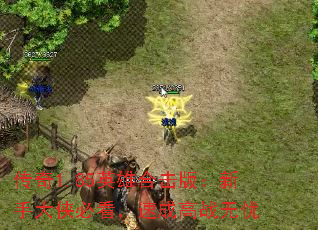 传奇1.85英雄合击版:新手大侠必看,速成高战无忧 传奇1.85英雄合击版:新手大侠必看,速成高战无忧