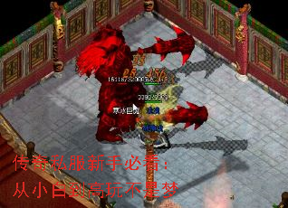 传奇私服新手必看:从小白到高玩不是梦 传奇私服新手必看:从小白到高玩不是梦