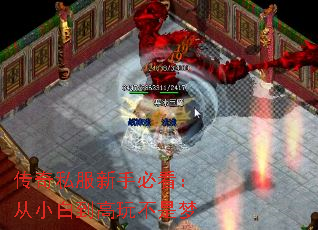 传奇私服新手必看:从小白到高玩不是梦 传奇私服新手必看:从小白到高玩不是梦